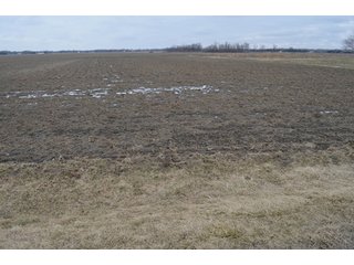 Property photo 36 - 173 +/- Acres Offered in 3 Tracts - Ohio Farmland